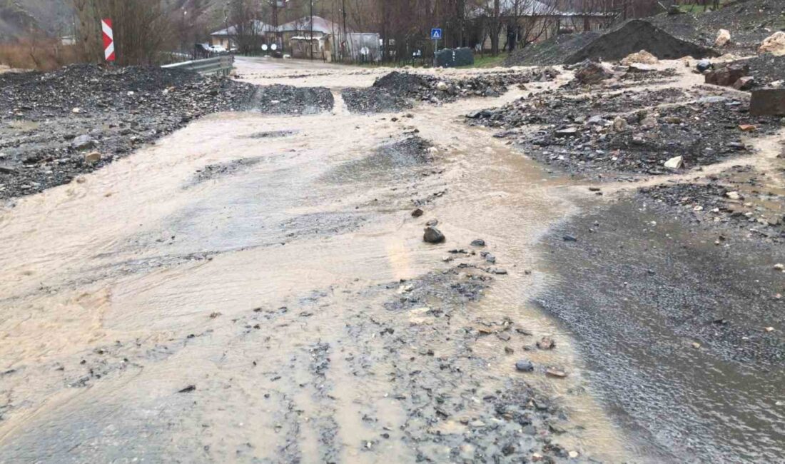 Hakkari-Şırnak kara yolunda çığ düşmesinin ardından şimdi de sel meydana
