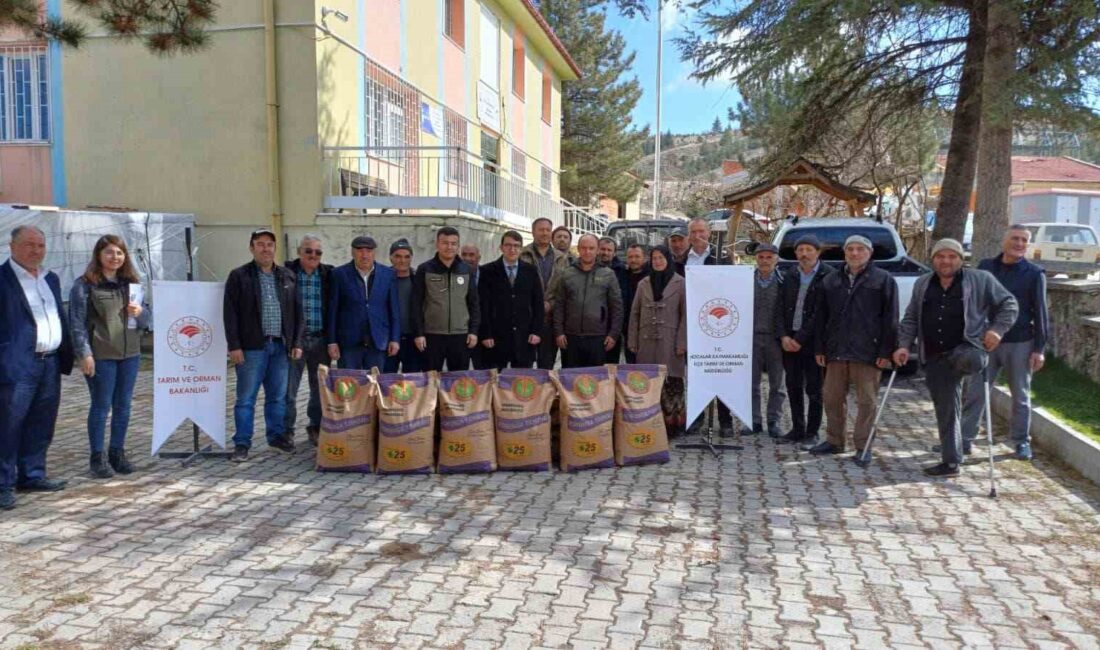 Afyonkarahisar’ın Hocalar ilçesinde 20 çiftçiye devlet destekli 2 ton korunga