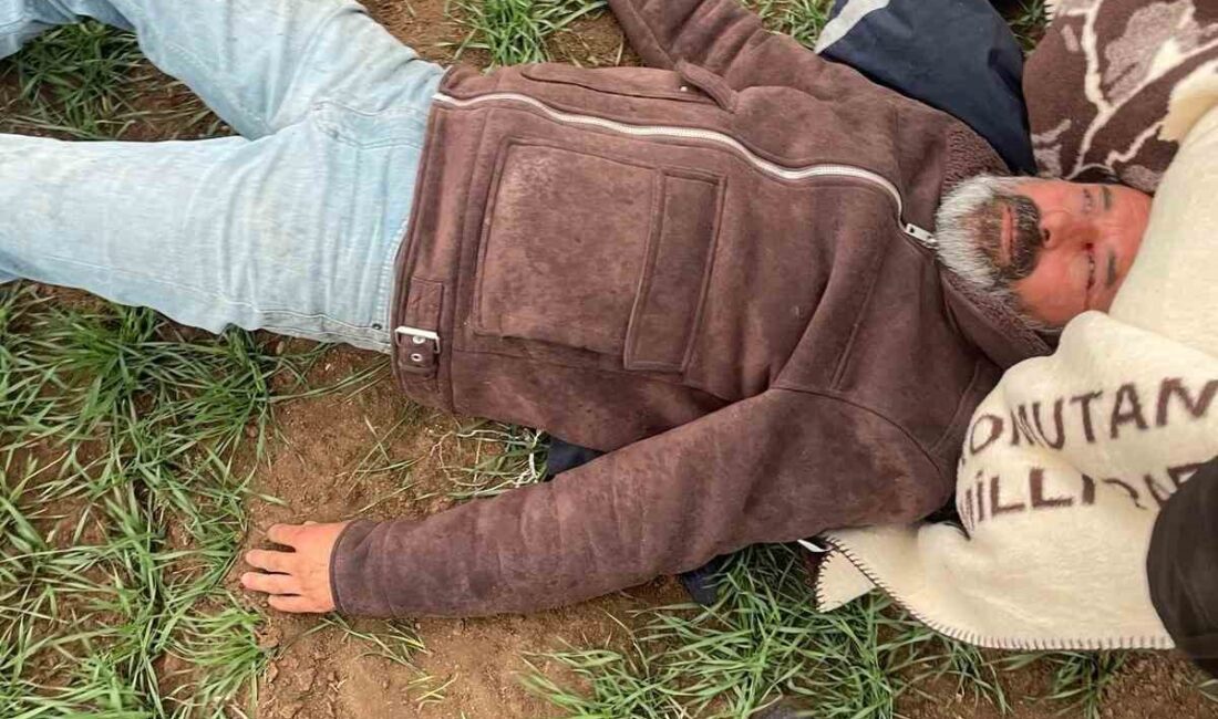 Afyonkarahisar’da kontrolden çıkarak tarım arazisine devrilen hurda elektronik ürün yüklü
