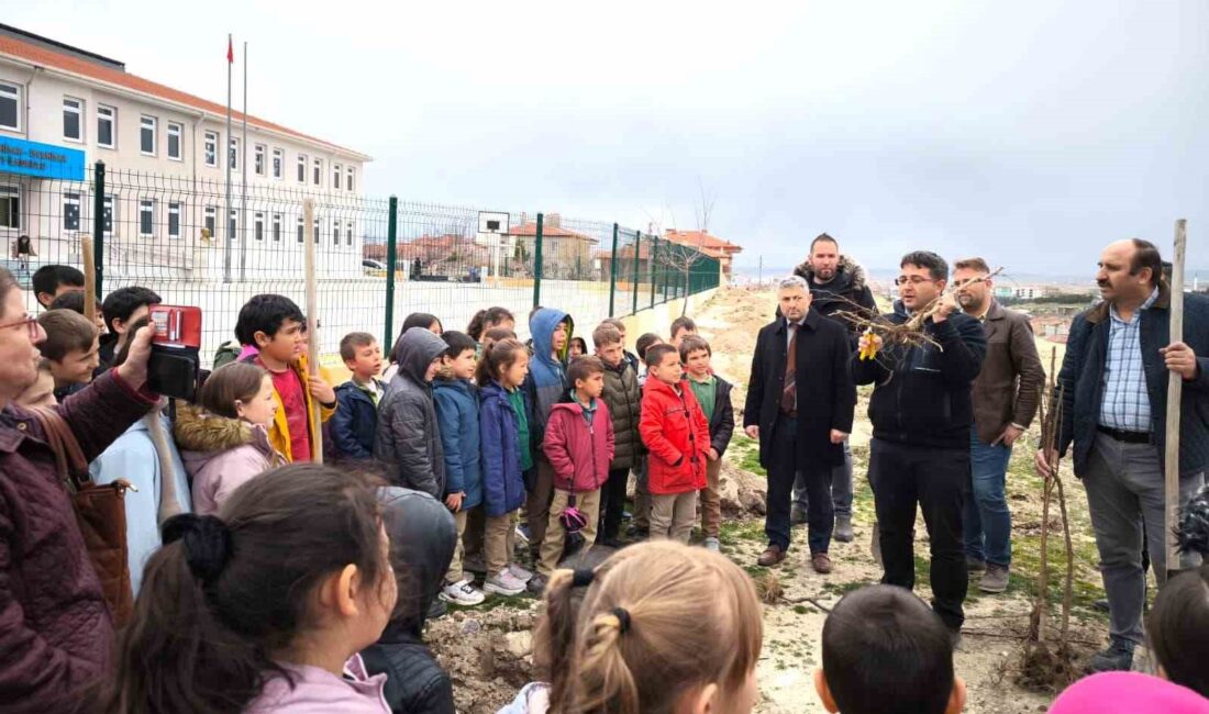 Afyonkarahisar İl Tarım ve Orman Müdürlüğü İscehisar ilçe Müdürlüğü ekipleri