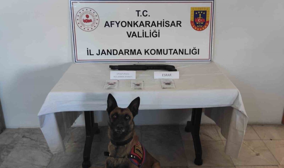 Afyonkarahisar İl Jandarma Komutanlığı, Sinanpaşa ilçesi Tokuşlar köyünde ikamet eden