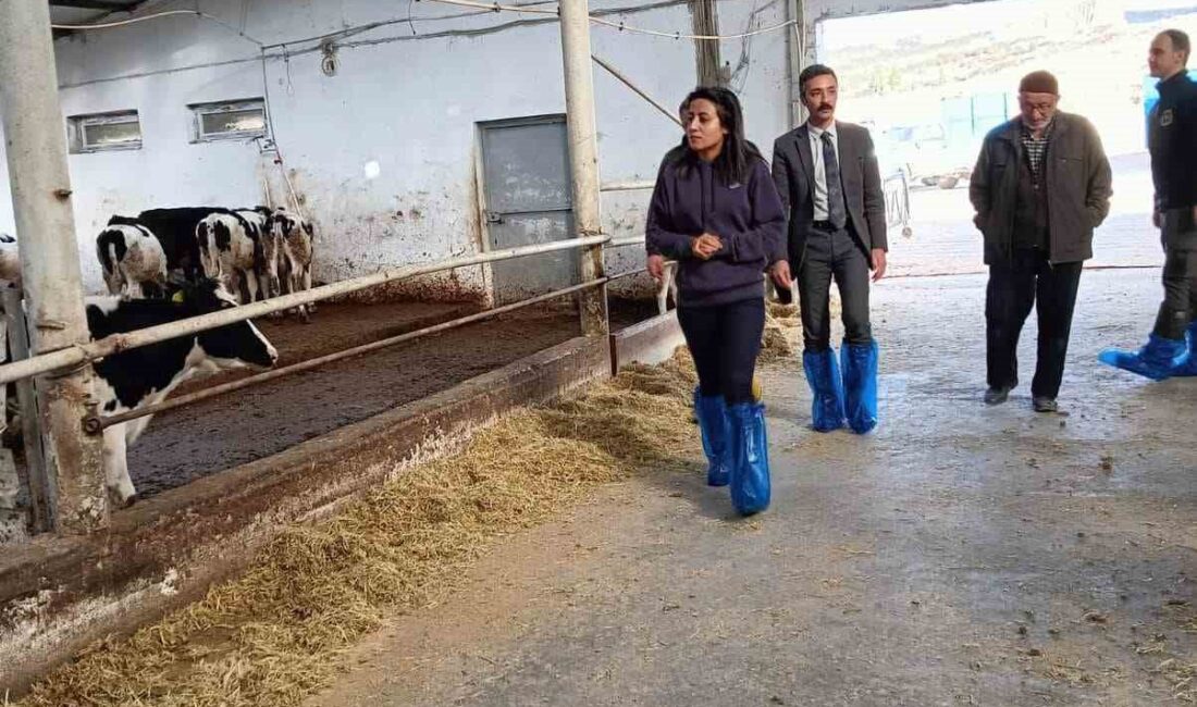 Afyonkarahisar İscehisar Kaymakamı Özlem Kılıçtürk, büyükbaş ve küçükbaş hayvancılık yapan