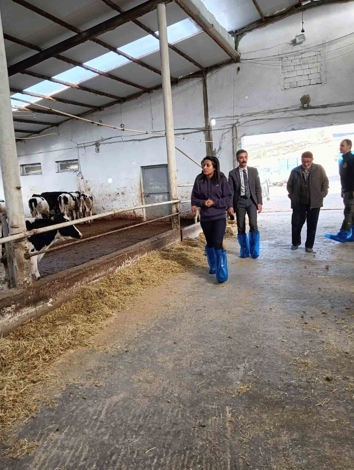Afyonkarahisar İscehisar Kaymakamı Özlem Kılıçtürk, büyükbaş ve küçükbaş hayvancılık yapan