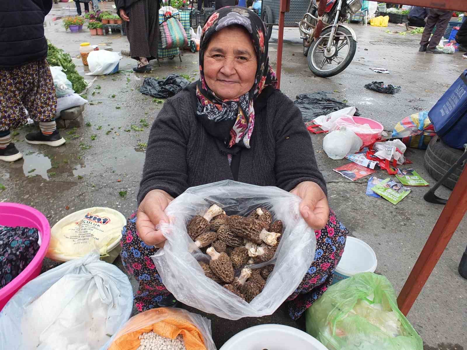   Burhaniye ilçesinde, bahar yağışları ile birlikte Madra Dağında çıkmaya