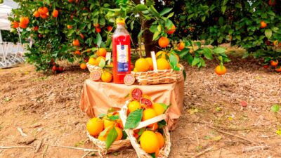 İSTANBUL (AA) – Metro Türkiye, Metro Chef markası altında yüzde