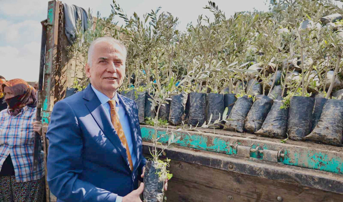Çiftçilere yönelik geleceğe yatırım projelerine devam eden Denizli Büyükşehir Belediyesinin