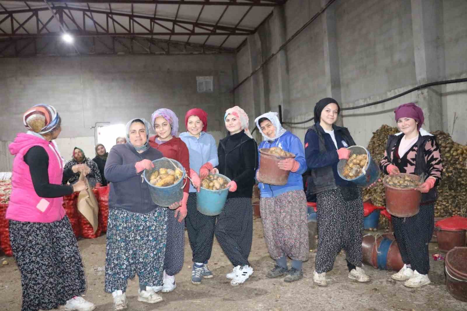 PATATES ÜRETİMİNDE ÖNEMLİ BİR YERE SAHİP OLAN AFYONKARAHİSAR’IN SANDIKLI İLÇESİNDE