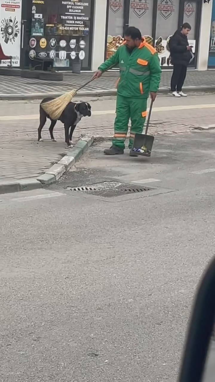 Bursa’da bir temizlik görevlisi, yanına gelen sokak köpeğinin sırtını elindeki