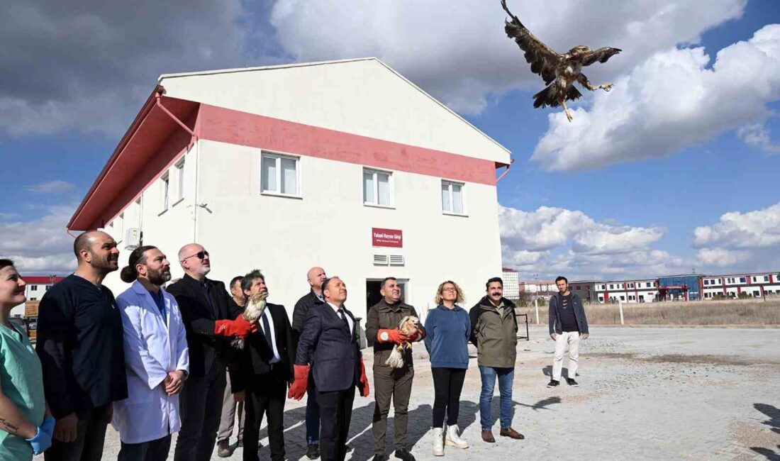 Afyon Kocatepe Üniversitesi Yaban Hayatını Kurtarma Rehabilitasyon Eğitim Uygulama ve