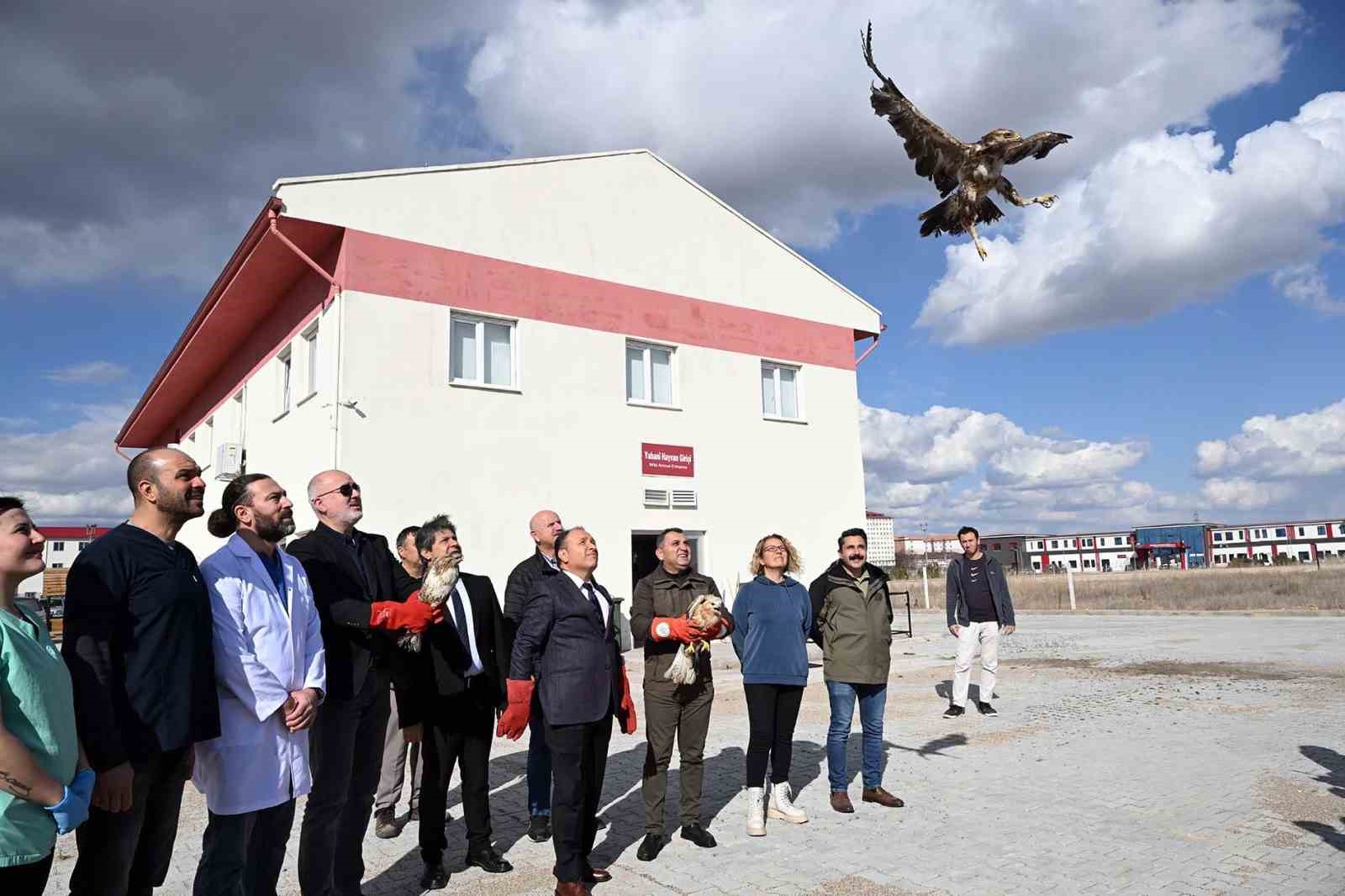 Afyon Kocatepe Üniversitesi Yaban Hayatını Kurtarma Rehabilitasyon Eğitim Uygulama ve
