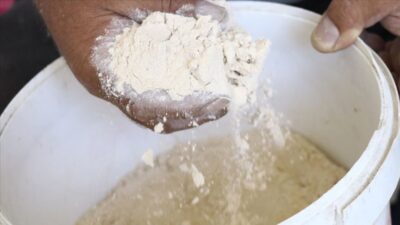 Dünya’nın gıda ambarı Türkiye, en temel gıda maddesi un ihracatında