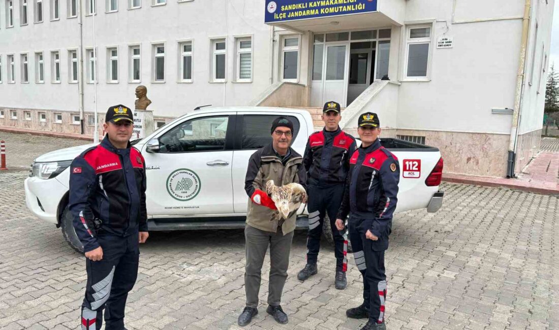 Afyonkarahisar İl Jandarma Komutanlığı Jandarma Motosikletli Asayiş Timleri yaralı halde