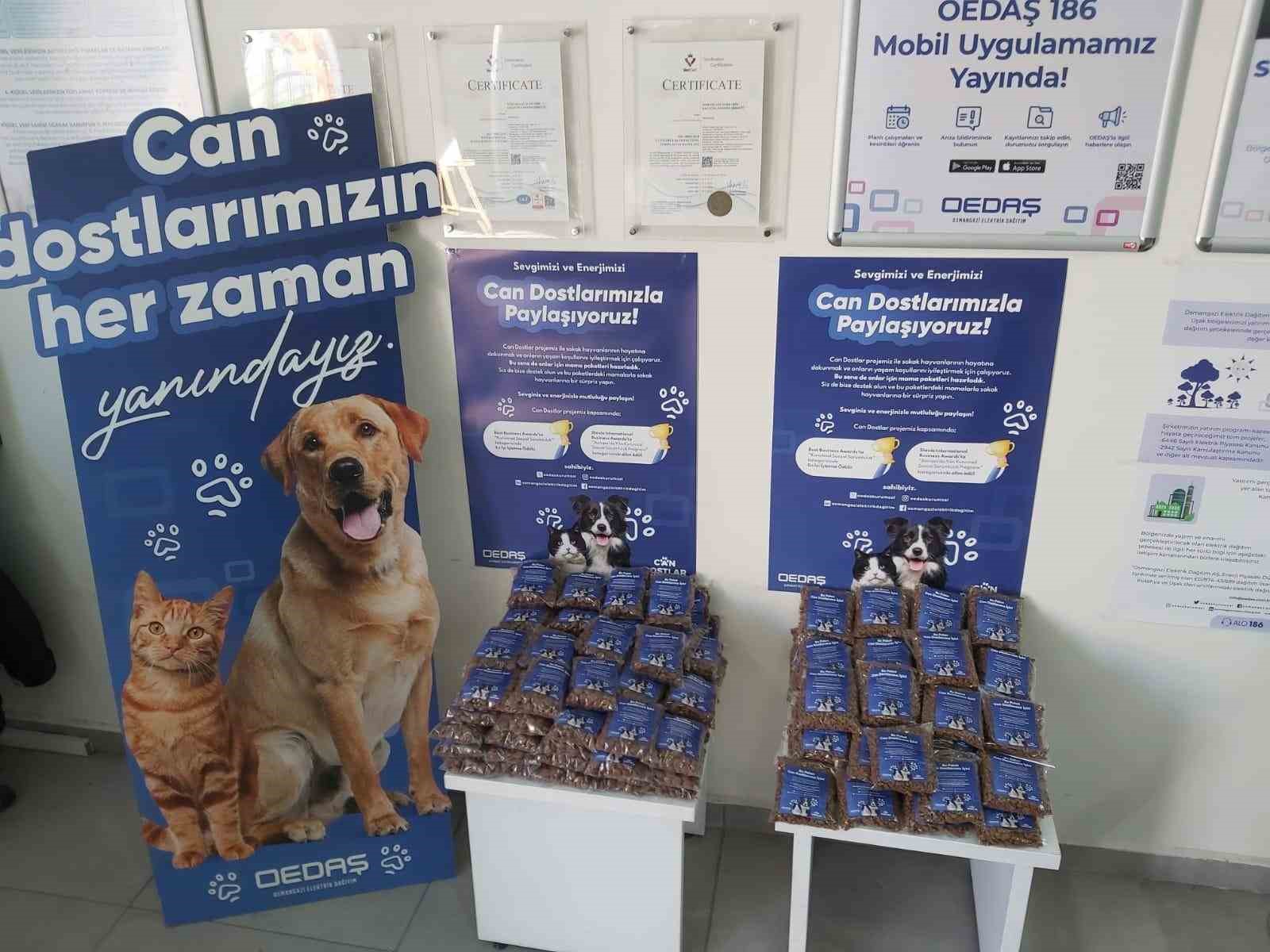Sokak hayvanlarının hayati ihtiyaçlarını karşılamak üzere uluslararası ödüllü Can Dostlar
