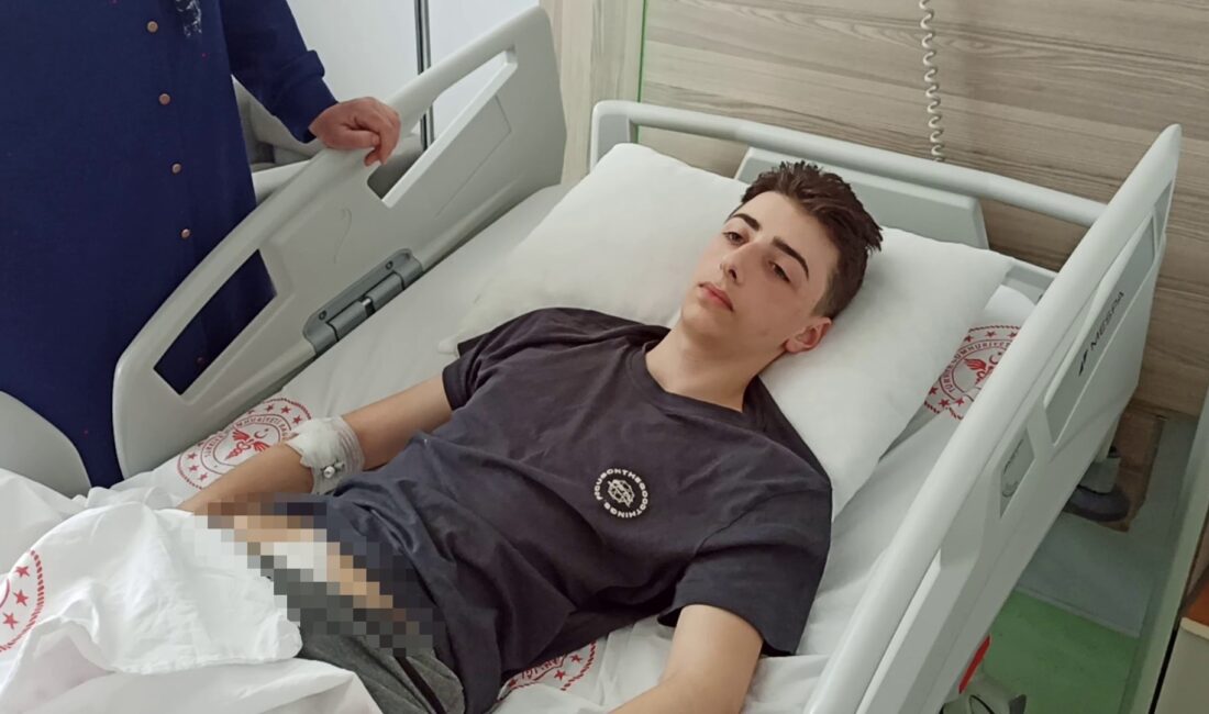 Sakarya’nın Adapazarı ilçesinde bayram günü arkadaşlarıyla dolaşan 15 yaşındaki çocuk,