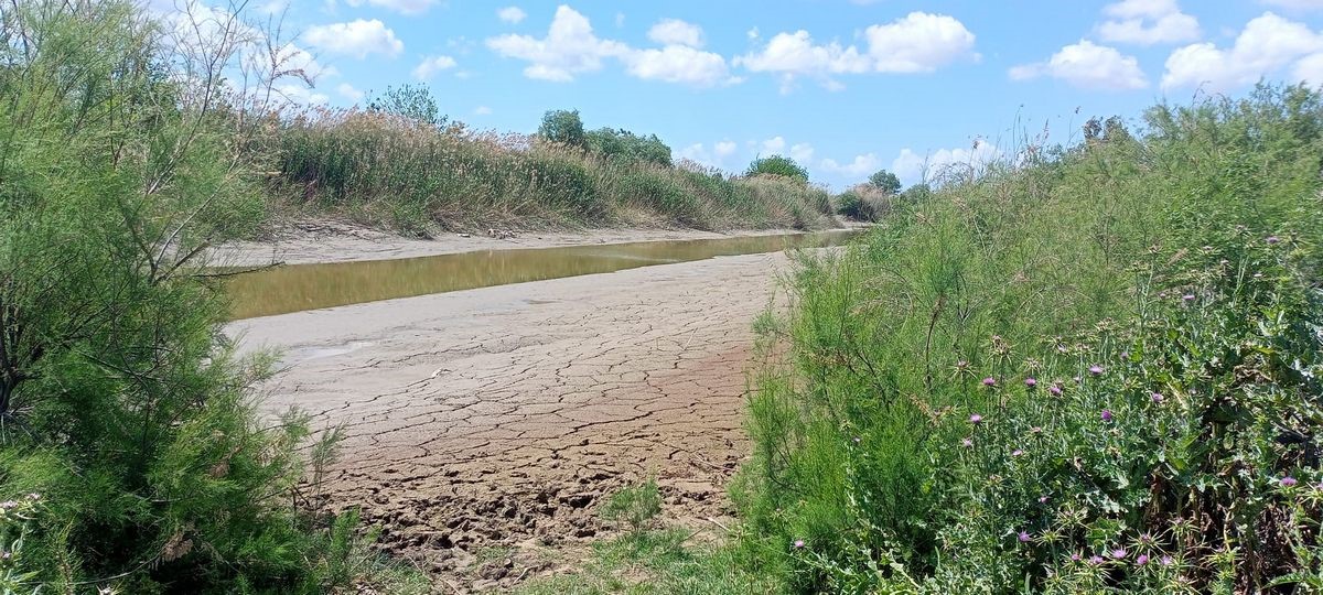 Aydın tarımının can damarı olan Büyük Menderes Nehri, Nisan ayındaki