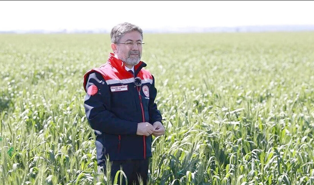 Tarım ve Orman Bakanı İbrahim Yumaklı, çim alanların bir kısmının