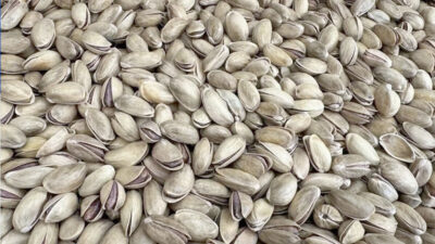 Türkiye’den yılın ilk 3 ayında 69 ülkeye 73 milyon 790