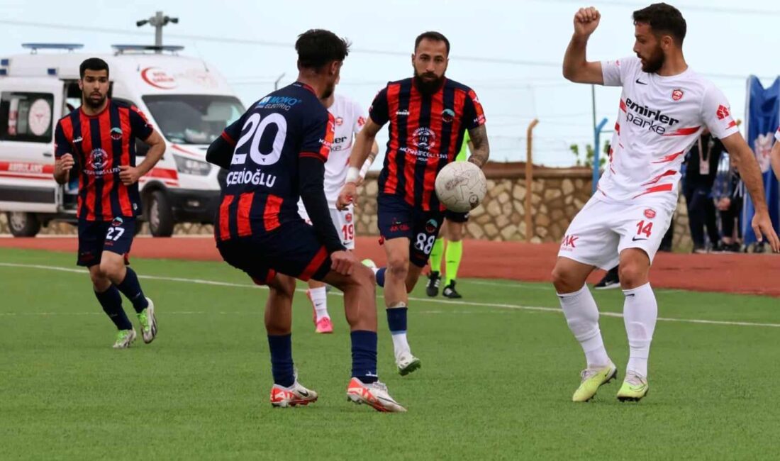 Türkiye Futbol Federasyonu (TFF) 3’üncü Lig 1’inci grupta mücadele eden