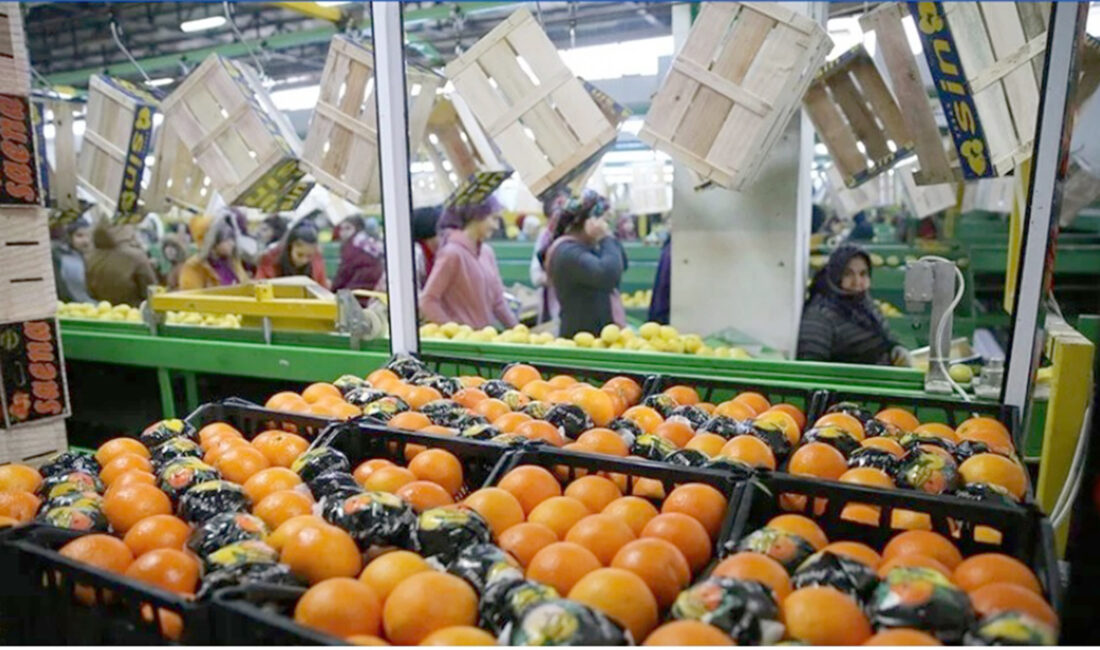 Tarım sektörü, 9,3 milyar dolarla tüm zamanların en yüksek ilk