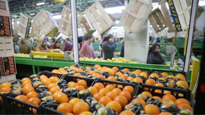 Tarım sektörü, 9,3 milyar dolarla tüm zamanların en yüksek ilk