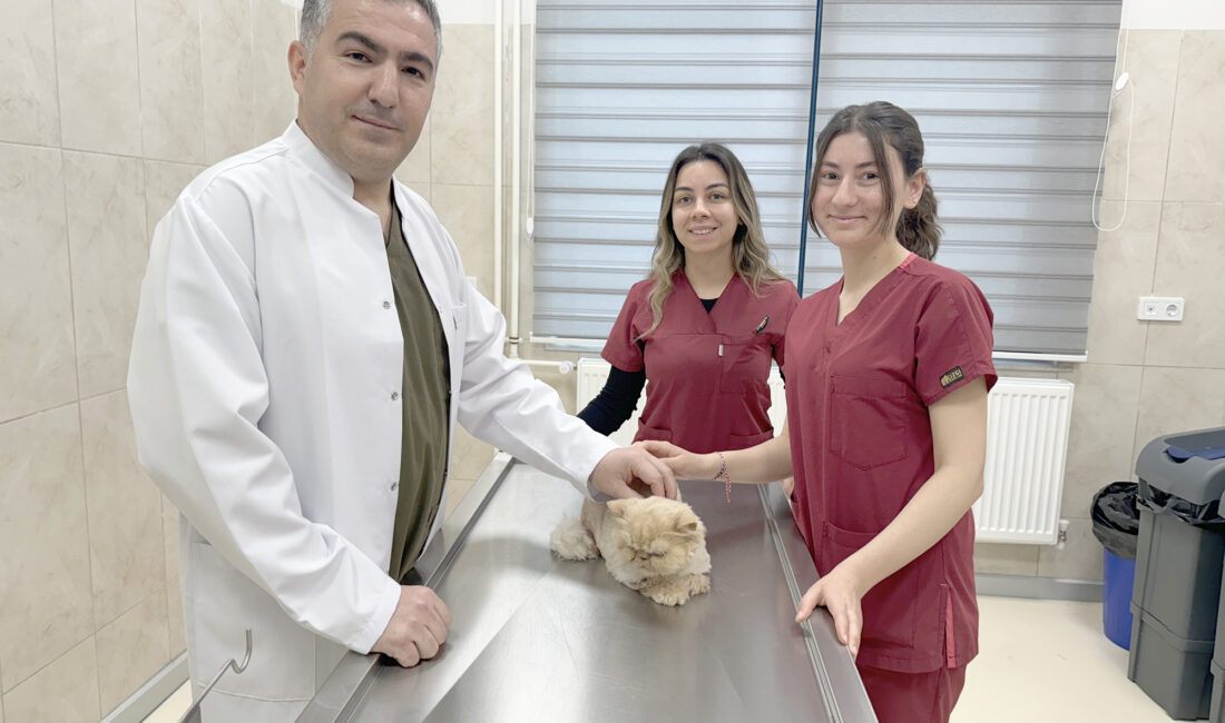   Afyonkarahisar’da beslenme sorunu yaşadığı için günden güne zayıflayan ve