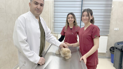   Afyonkarahisar’da beslenme sorunu yaşadığı için günden güne zayıflayan ve