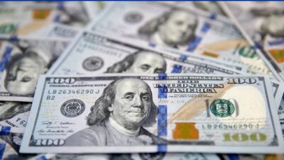 Türkiye Cumhuriyet Merkez Bankası (TCMB), Şubat 2024 dönemine ilişkin kısa