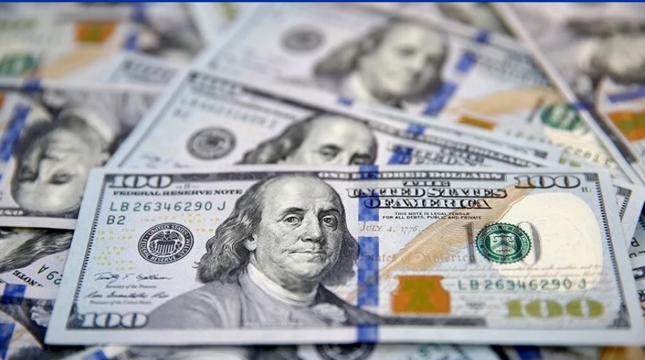 Türkiye Cumhuriyet Merkez Bankası (TCMB), Şubat 2024 dönemine ilişkin kısa