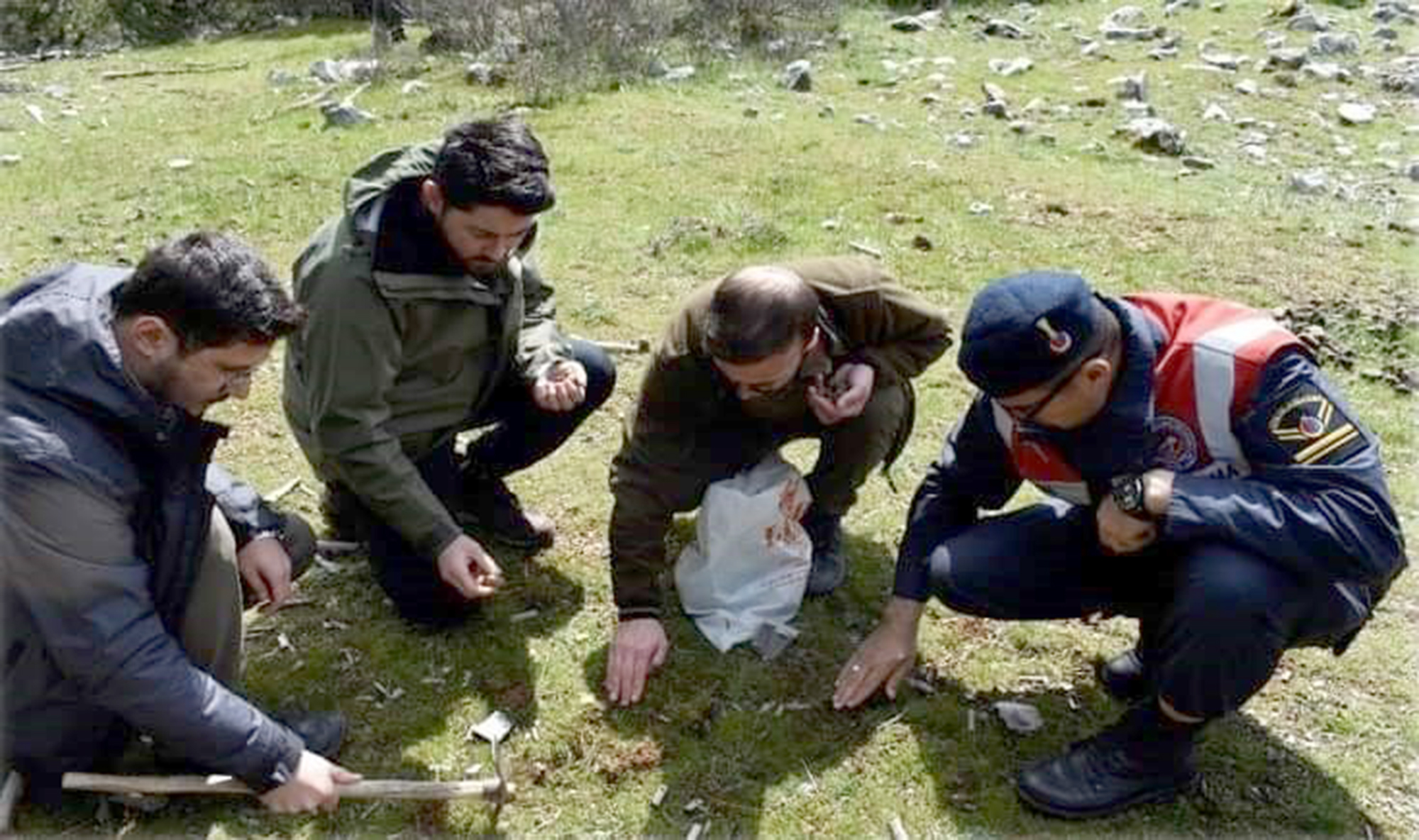 Manisa’nın Turgutlu ilçesinde nesli tehlike altındaki türler listesinde bulunan ve