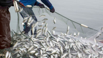 Bin 480 kilometre kıyı şeridi ile Türkiye’nin en uzun kıyısına