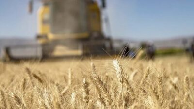   Tarımsal girdi fiyat endeksi (Tarım-GFE), şubatta aylık bazda yüzde