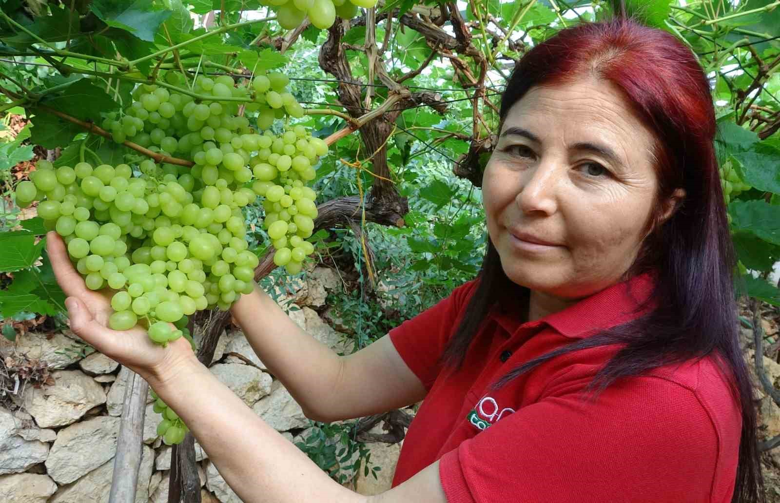Türkiye’nin yaş sebze ve meyve üretim merkezlerinden Mersin’de örtü altında