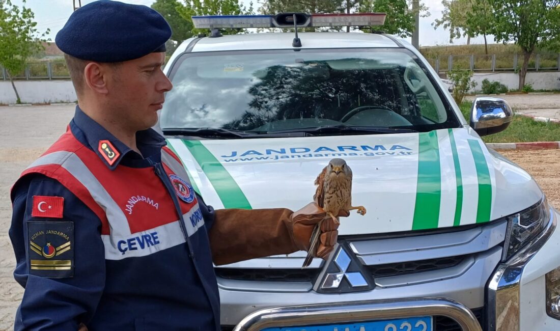 Afyonkarahisar İl Jandarma Komutanlığınca icra edilen önleyici kolluk devriyesi esnasında,