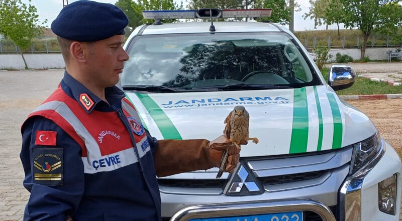 Afyonkarahisar İl Jandarma Komutanlığınca icra edilen önleyici kolluk devriyesi esnasında,