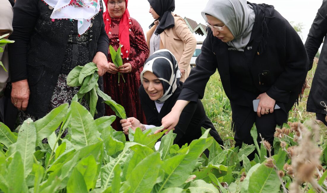 Coğrafi İşaret Tescilli labada (İlibada) sarması, Afyonkarahisar mutfağının baş tacı