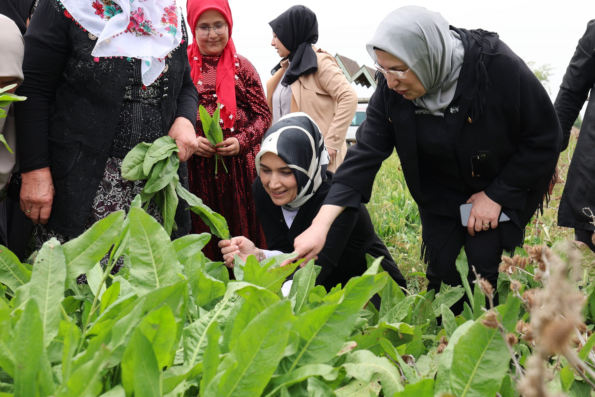 Coğrafi İşaret Tescilli labada (İlibada) sarması, Afyonkarahisar mutfağının baş tacı