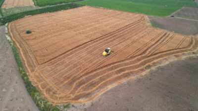 Stratejik öneme sahip birçok ürünün hammaddesi olan buğdayın, Adana’da hasadı