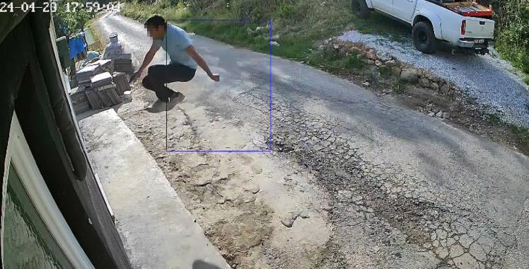 Antalya’nın Alanya ilçesinde kedi ve köpeklerin barındığı bir otel, bir