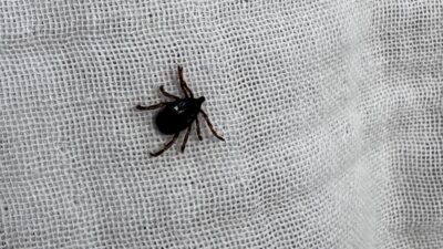     Medicana Sivas Hastanesi Enfeksiyon Hastalıkları ve Klinik Mikrobiyoloji