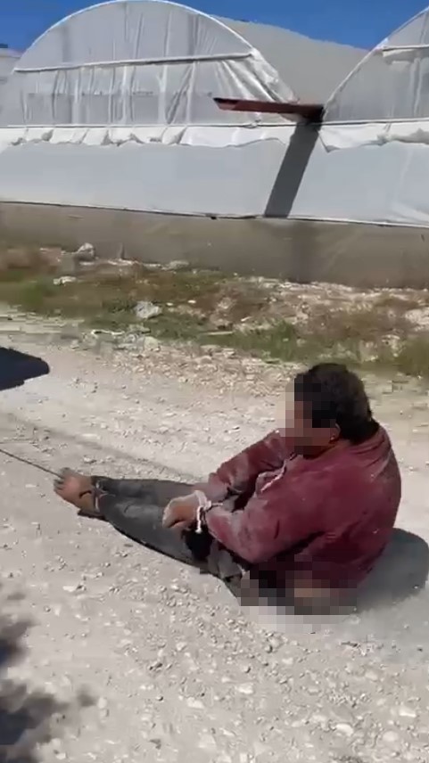     Antalya’nın Kaş ilçesinde bir kişi, köpeğine zarar verdiğini