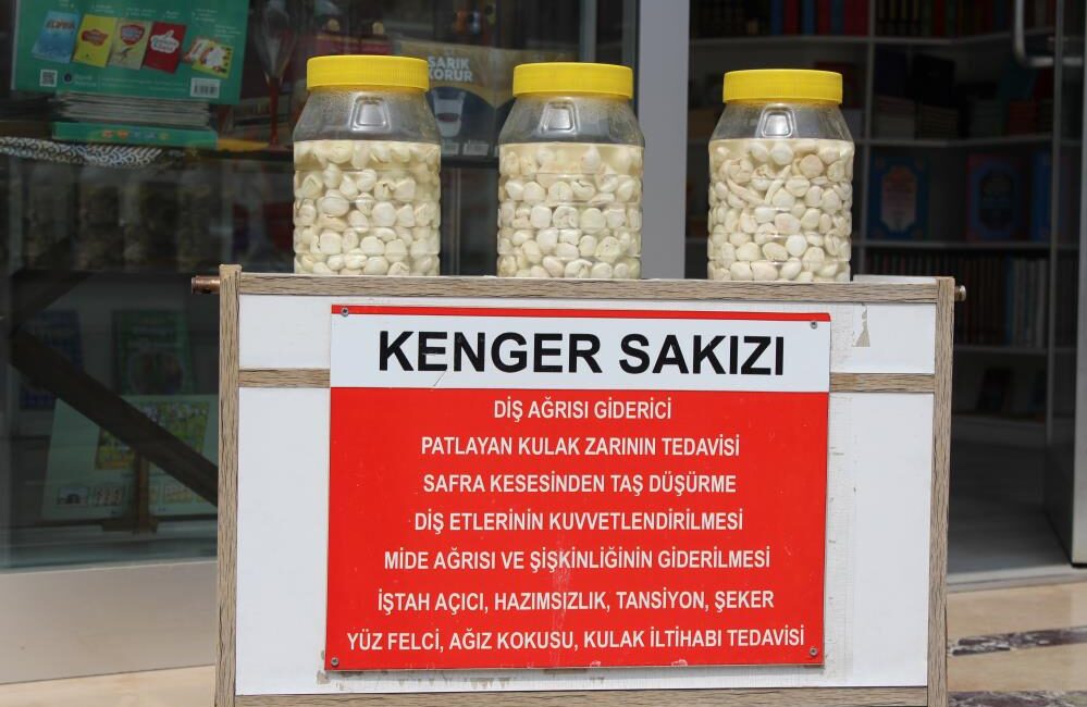 Kenger bitkisinin kök kısmından elde edilen kenger sakızının fiyatı çeyrek