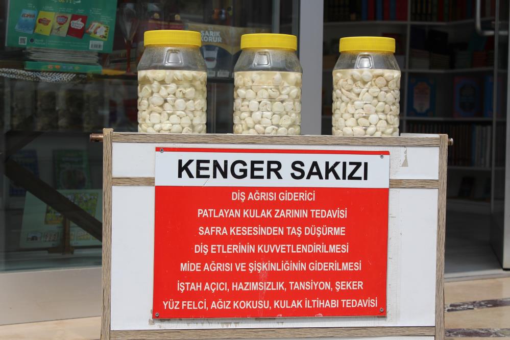 Kenger bitkisinin kök kısmından elde edilen kenger sakızının fiyatı çeyrek