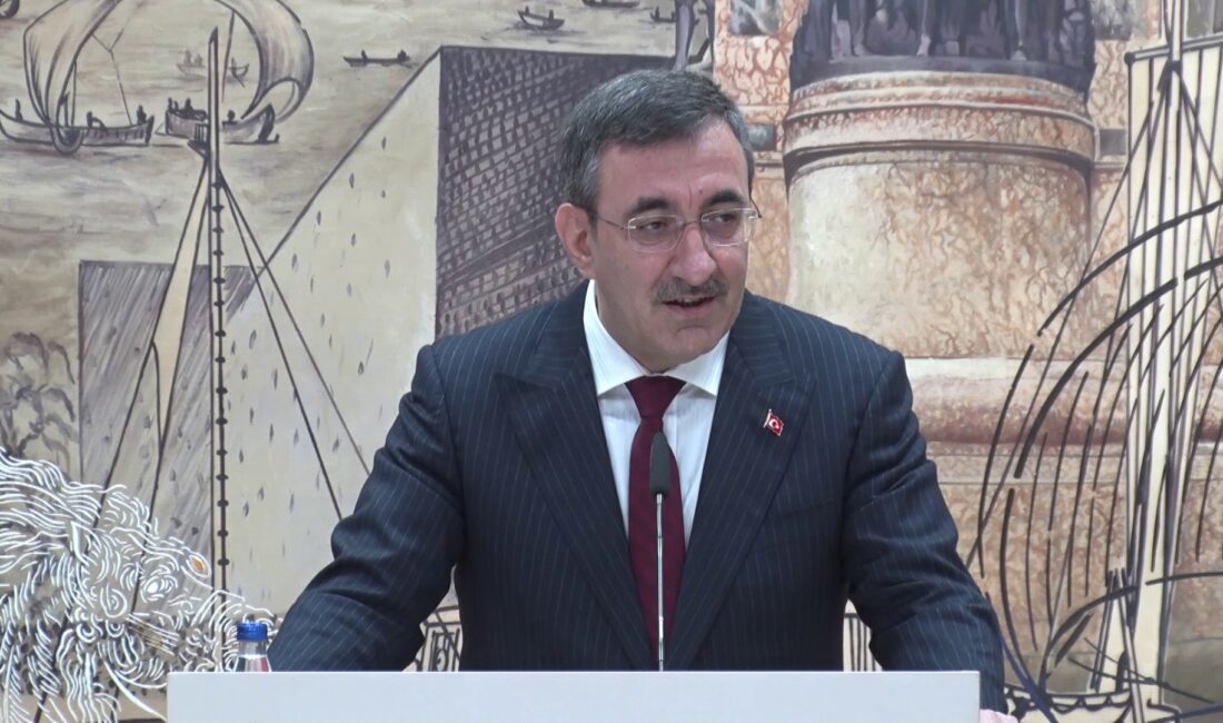 Türk Yatırım Fonu Guvernörler Kuruluşu toplantısında konuşan Cumhurbaşkanı Yardımcısı Cevdet
