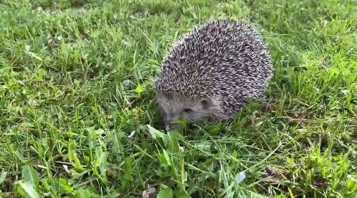 Tarım ve Orman Bakanlığı Doğa Koruma ve Milli Parklar 13.