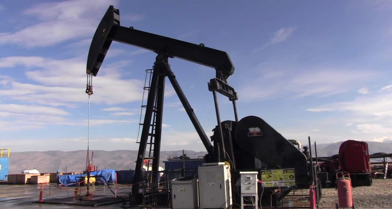 Türkiye Petrolleri Anonim Ortaklığının (TPAO) başvurusu üzerine Batman, Siirt, Diyarbakır,