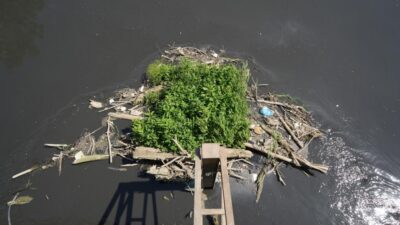 Uludağ’ın güneyinden akan ve Bursa ovasını tek başına besleyen Nilüfer