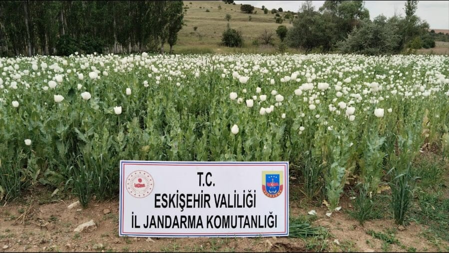 Eskişehir’de jandarma ekiplerinin çalışması sonucunda yasadışı şekilde 22 bin 580