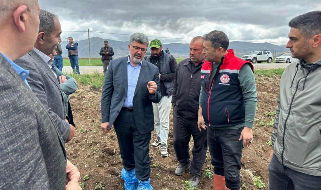 Şuhut Karadilli Ovası ve Dinar Çölovası  arazilerinde incelemele yapan AK