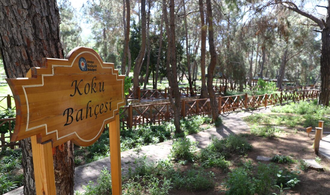 Antalya Büyükşehir Belediyesi Doğal Yaşam Parkı içerisinde yer alan Koku