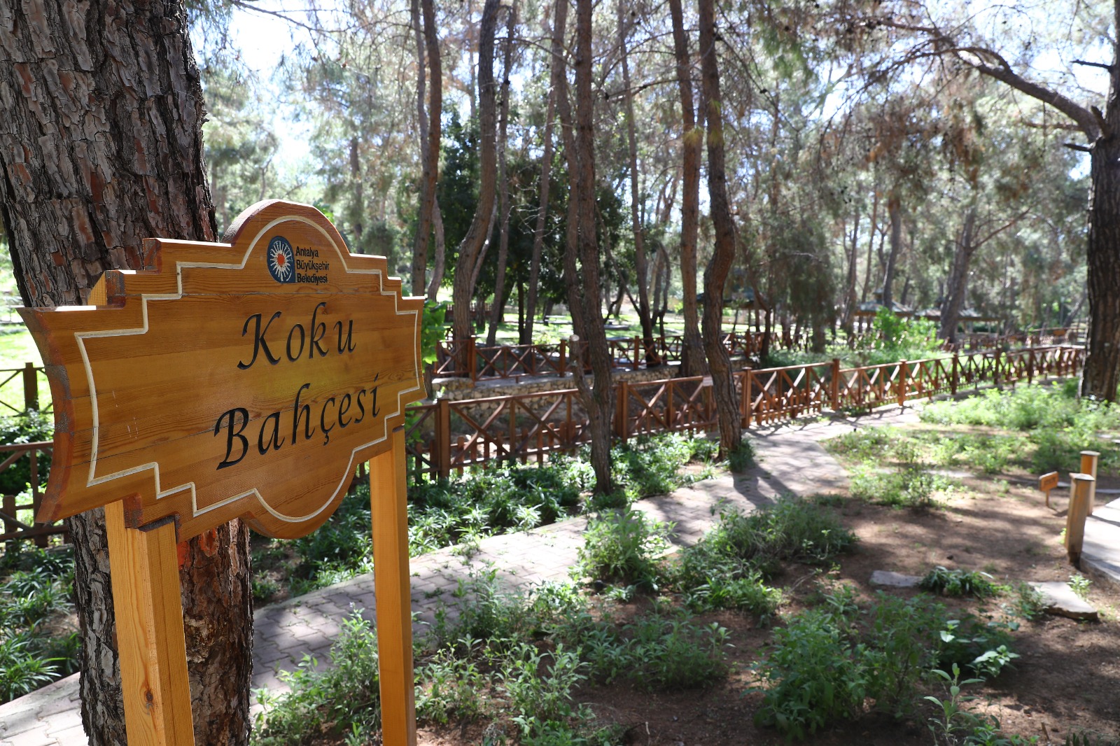 Antalya Büyükşehir Belediyesi Doğal Yaşam Parkı içerisinde yer alan Koku